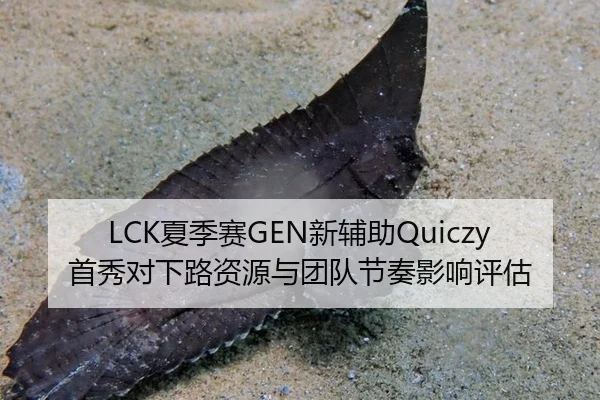 LCK夏季赛GEN新辅助Quiczy首秀对下路资源与团队节奏影响评估